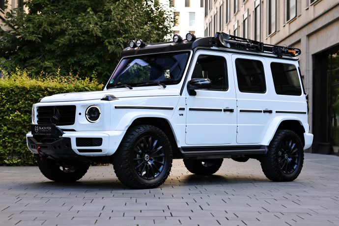 Mercedes-Benz G500 Professional