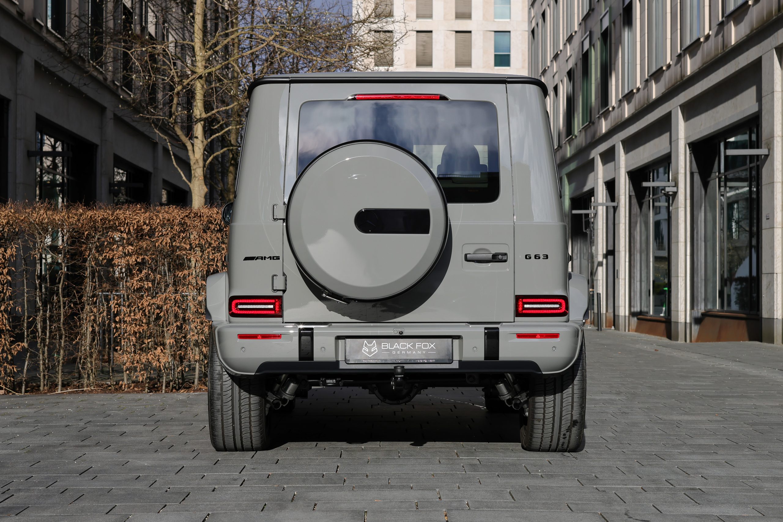 394A5572 copy 394A5572 copy